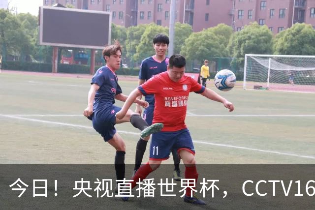 今日！央视直播世界杯，CCTV16转中超，网络转大连鲲城+可为+U17中国男篮+F1等